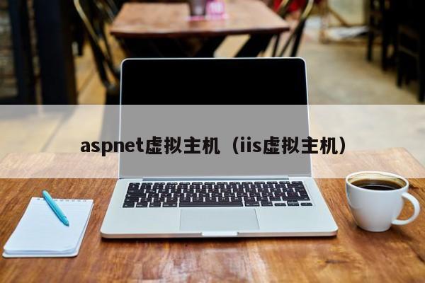 aspnet虚拟主机（iis虚拟主机）