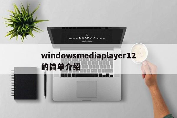 windowsmediaplayer12的简单介绍