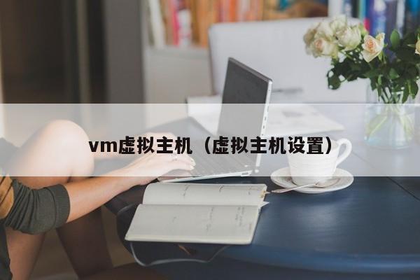 vm虚拟主机（虚拟主机设置）