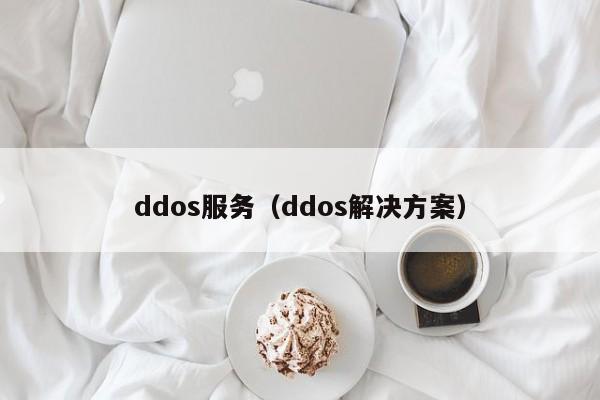 ddos服务（ddos解决方案）