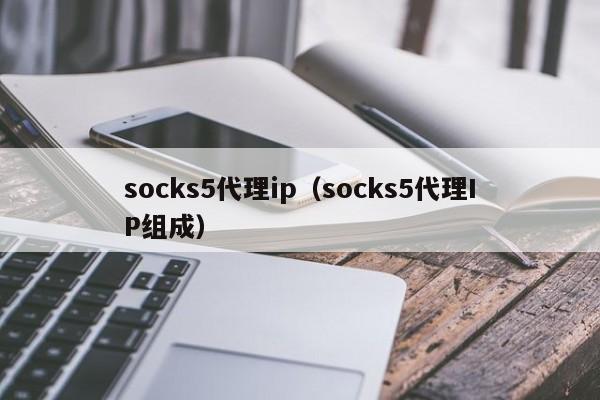 socks5代理ip（socks5代理IP组成）