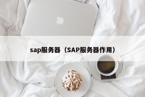 sap服务器（SAP服务器作用）