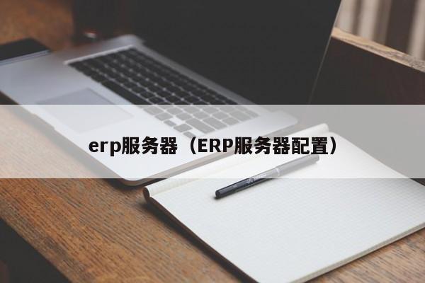 erp服务器（ERP服务器配置）
