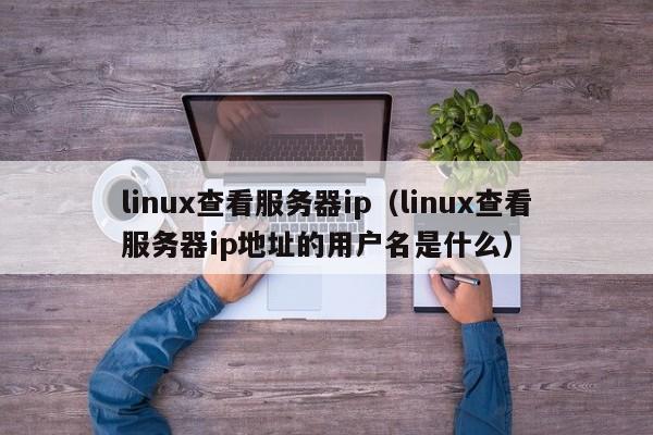linux查看服务器ip（linux查看服务器ip地址的用户名是什么）