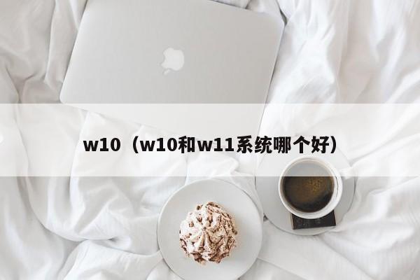 w10（w10和w11系统哪个好）